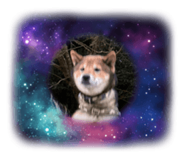 728058245