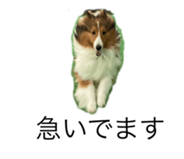 728109189