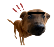 728125960
