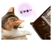 728146823