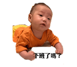 728164573