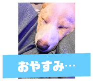 728171842