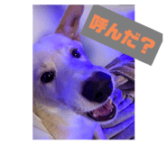 728171853