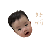 728175369