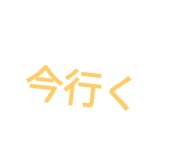 728176297
