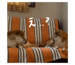 728178800