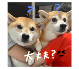 728178801