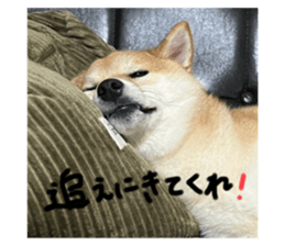 728178803