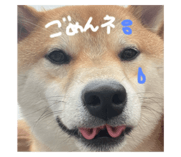 728178804
