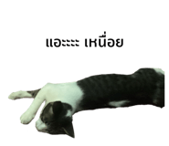 728179997