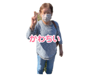 728183986