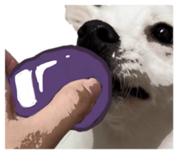 728191834