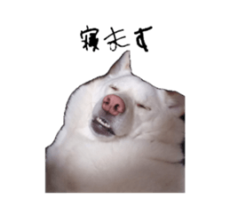 728192915