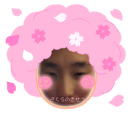 728235216