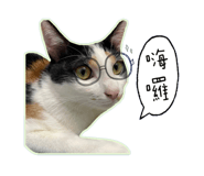 728263179