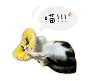 728263184