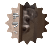 728330505