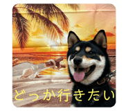 728331645