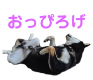 728331648