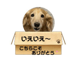 728333227