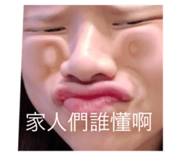 728334079