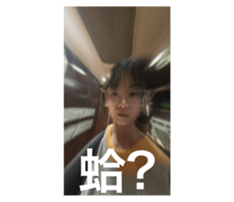 728334341