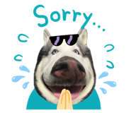 728336051