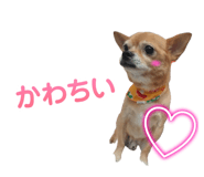 728336703