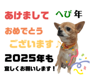 728336709