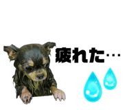 728336710