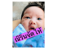 728337534