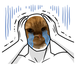 728347922