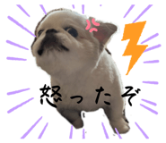 728347937