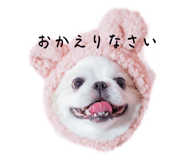 728347955