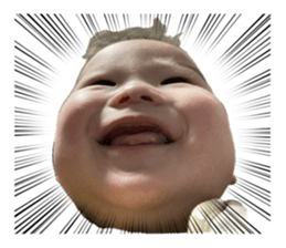 728362686