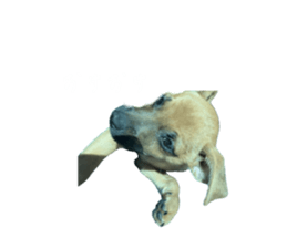 728363718