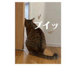 728372019