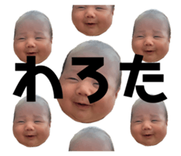 728378356