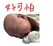728423827