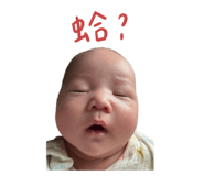 728423830