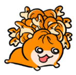 728524100