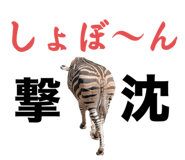 728550373