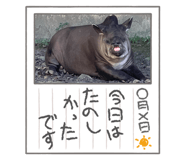 728550388
