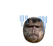 728550399