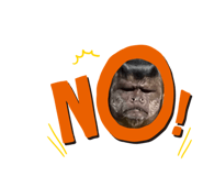 728550400