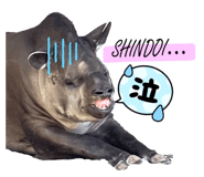 728550404