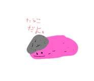 728550778