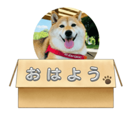 728557254