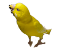 728557318