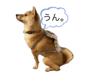 728557722